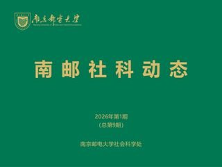 横向项目