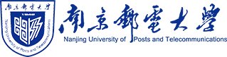 纵向项目